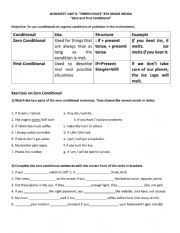 English Worksheet: Zero and First conditional