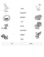 English Worksheet:  Animals