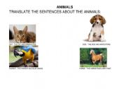 ANIMALS