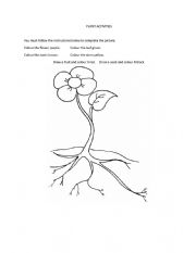 Plant Activities - ESL worksheet by jowdans