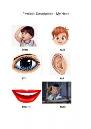 English Worksheet: My head Vocabulary