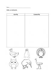English Worksheet: Bird Comparison Worksheet