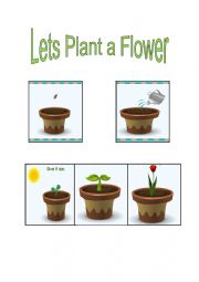 Lets Plant a Flower