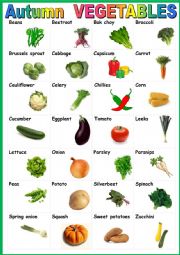 English Worksheet: Autumn vegetables. Poster
