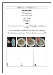 English worksheet: Pepper and surface tension