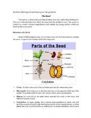Plants reproductions through seeds.