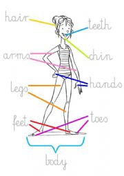 English Worksheet: parts of the body