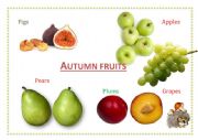 English Worksheet: Autumn Fruits