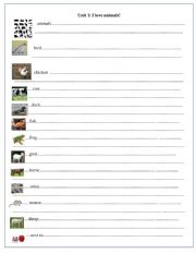 Get ready for starter unit 1 - ESL worksheet by tranghealer98