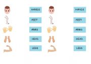 English Worksheet: Parts of the body - Match 