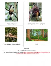 English Worksheet: Animals