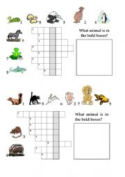 Animal crossword - ESL worksheet by AnnaGabelkova