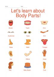 English Worksheet: Vocabulary - Body Parts