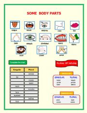 English Worksheet: Body Parts