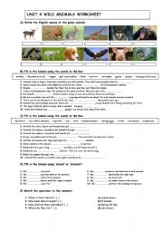 English Worksheet: wild animals