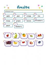 English Worksheet: different fruits 
