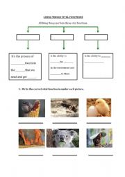 English Worksheet: LIVING THINGS VITAL FUNCTIONS