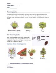 English Worksheet: Flowering Worksheet