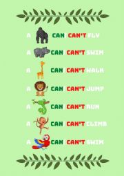 Can/can animals