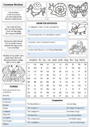 English Worksheet: INSECTS 