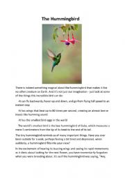 English Worksheet: The Hummingbird