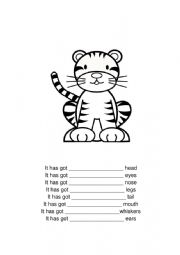 English Worksheet: Parts of the body (te tiger)