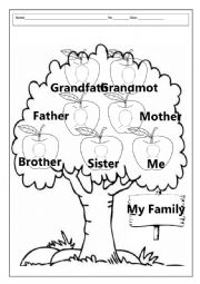 English Worksheet: Family Worksheet