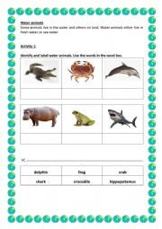 English Worksheet: Identify water animals
