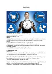 English Worksheet: Body clocks