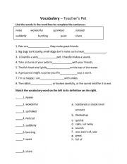 English Worksheet: Teacher�s Pet Vocabulary