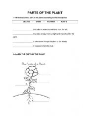 part of palant - ESL worksheet by Furqan Nur Alam