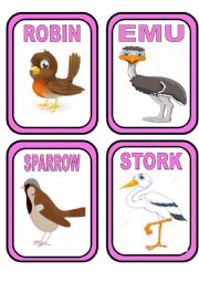 English Worksheet: birds flashcards