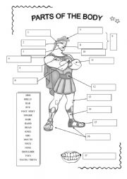 English Worksheet: Parts of the body