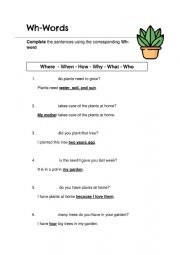 English Worksheet: WH plants