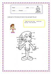 English Worksheet: Parts of the body