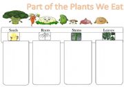 English Worksheet: Part of the plant we eat