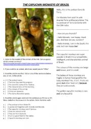English Worksheet: The Capuchin Monkeys of Brazil - Reading - to be verb