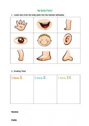 English Worksheet: Body Parts