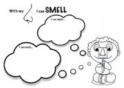 5 senses: smell