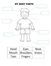 English Worksheet: MY BODY PARTS 