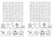 English Worksheet: Spring flowers wordsearch