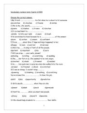 English Worksheet: grammar 