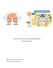 English Worksheet: Cellular Respiration