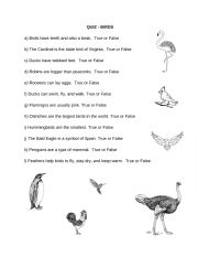 Birds Quiz/Worksheet