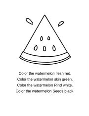 English Worksheet: Watermelon parts