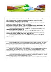 English Worksheet: descriptive text