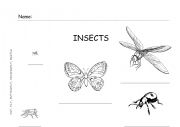 English Worksheet: Insects (Ant, Beetle, Butterly, Dragonfly, Fly) 