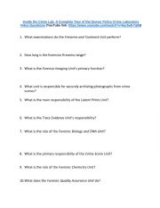 English Worksheet: Crime Lab Video Questions