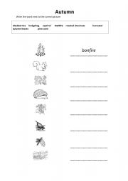 English Worksheet: Autumn Vocabulary