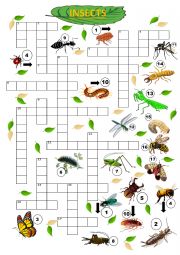 English Worksheet: Insects crossword